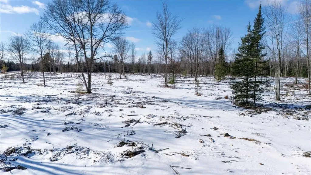 4457 E West Branch Road Backus Township MI 48651