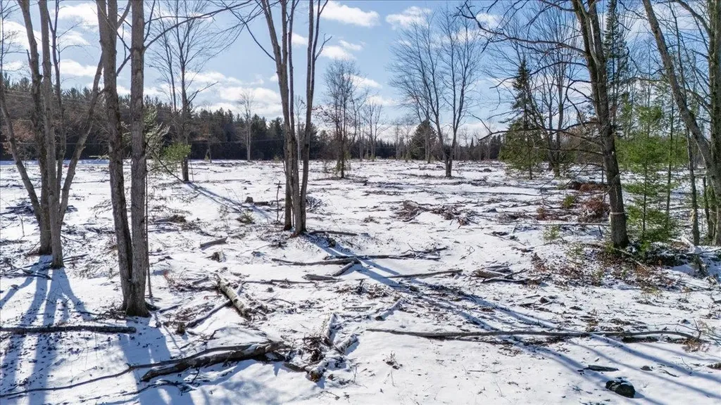 4457 E West Branch Road Backus Township MI 48651