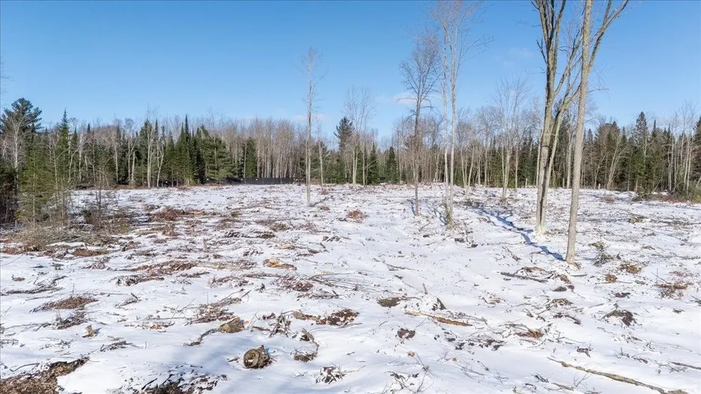 4457 E West Branch Road Backus Township MI 48651