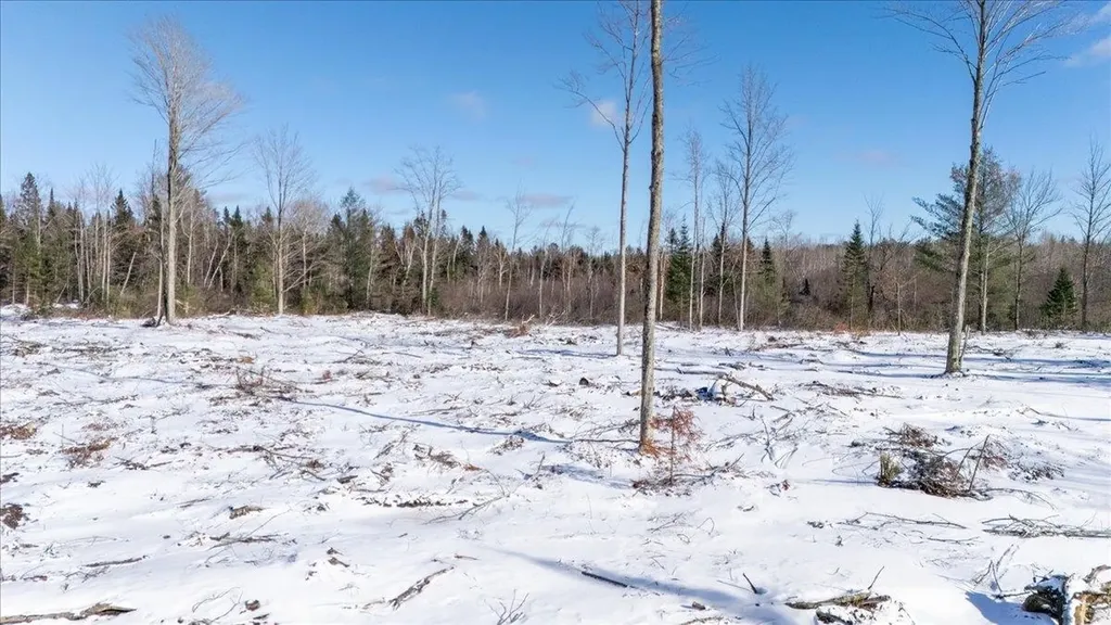 4457 E West Branch Road Backus Township MI 48651