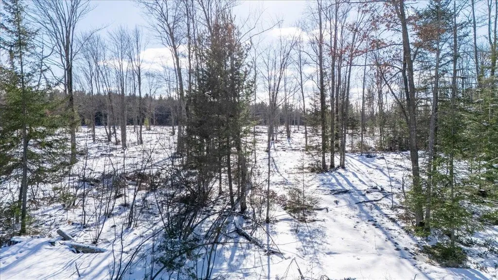 4457 E West Branch Road Backus Township MI 48651