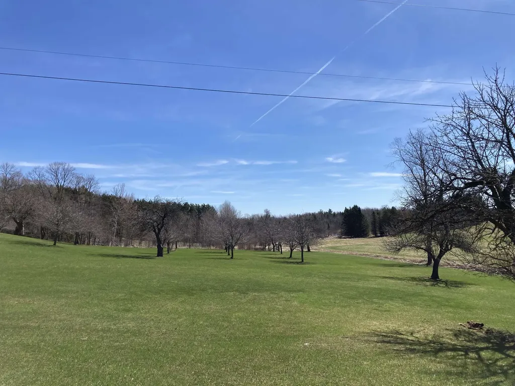 3450 Reasner Road Rose Township MI 48654