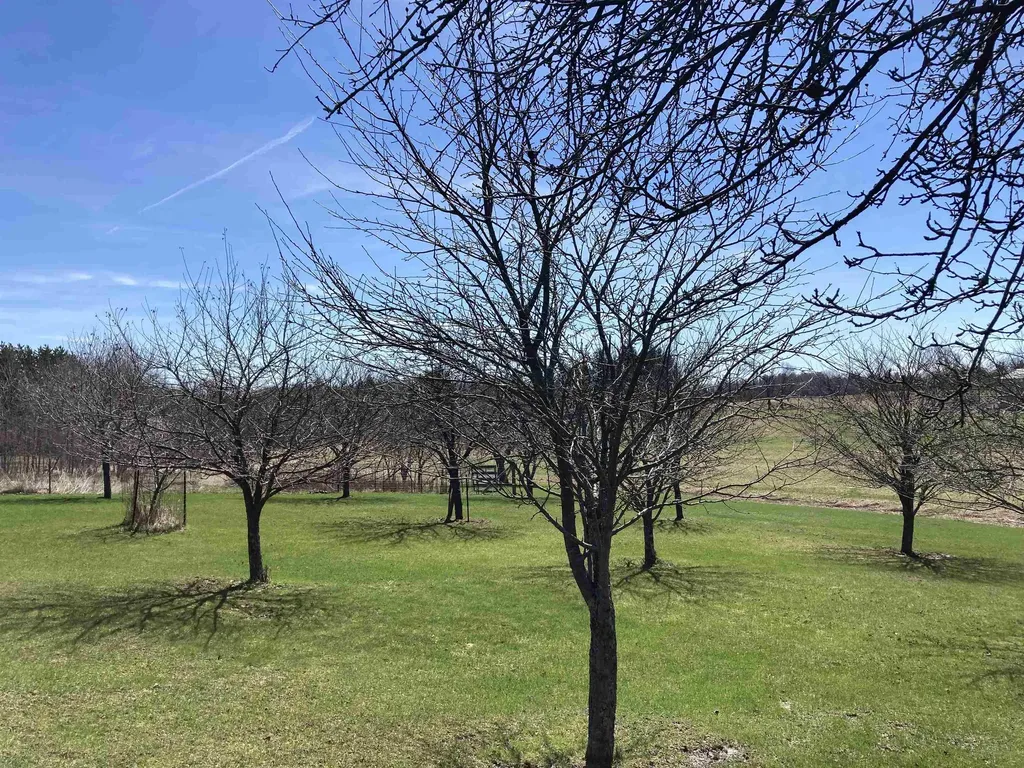 3450 Reasner Road Rose Township MI 48654