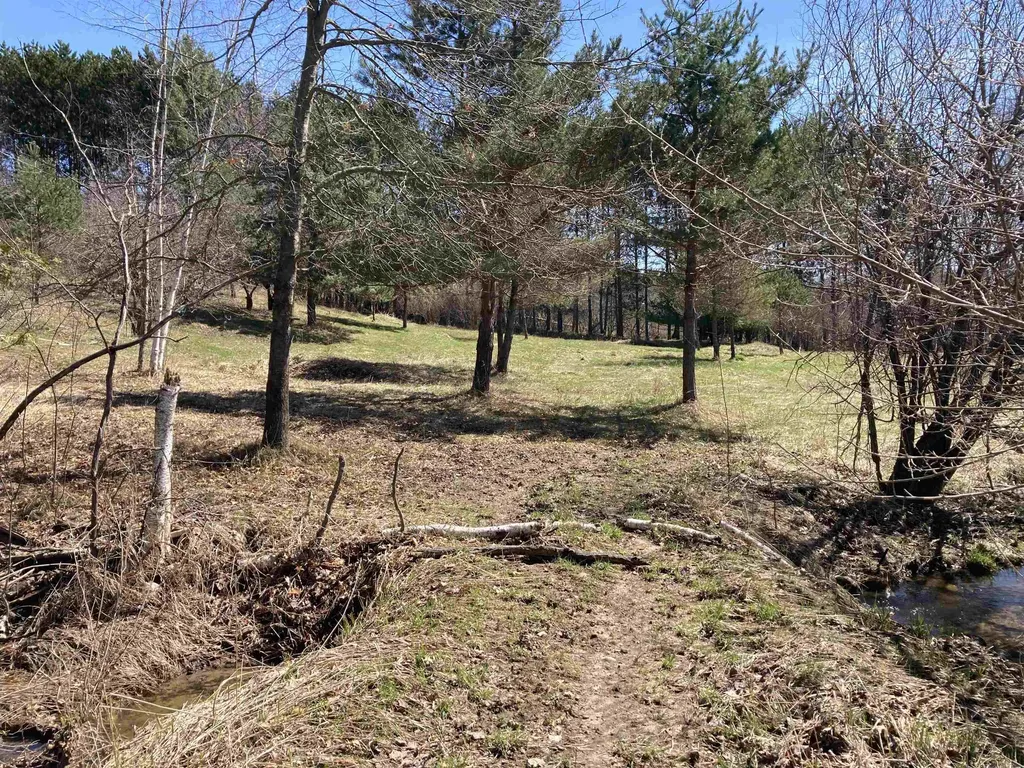 3450 Reasner Road Rose Township MI 48654