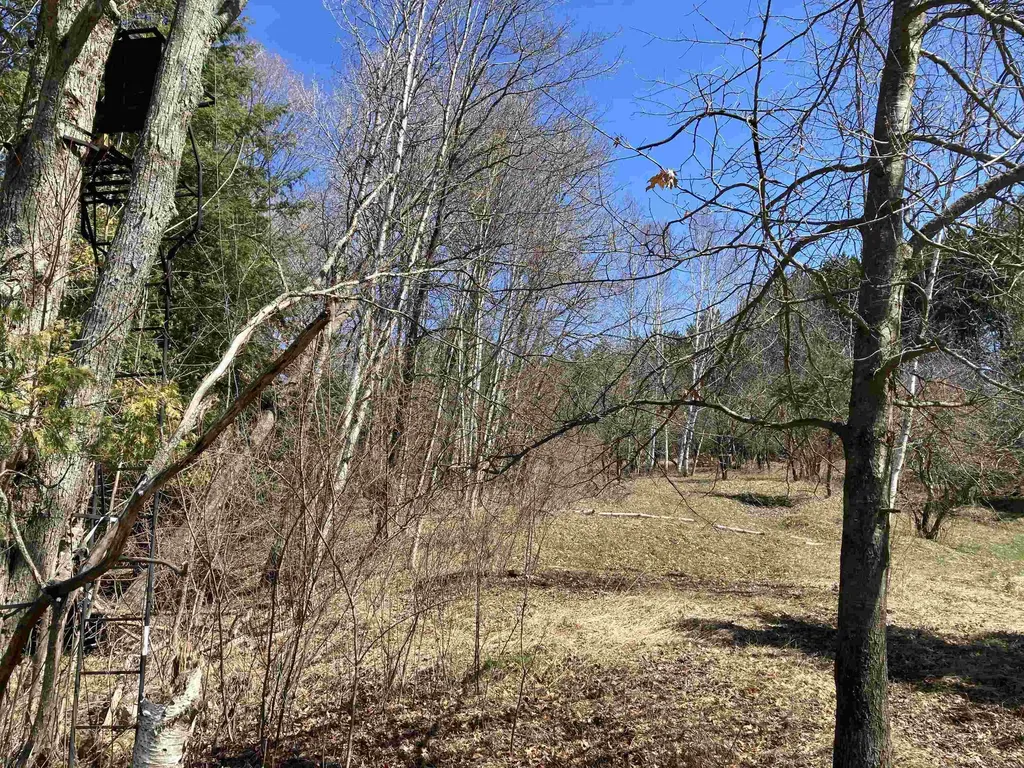 3450 Reasner Road Rose Township MI 48654