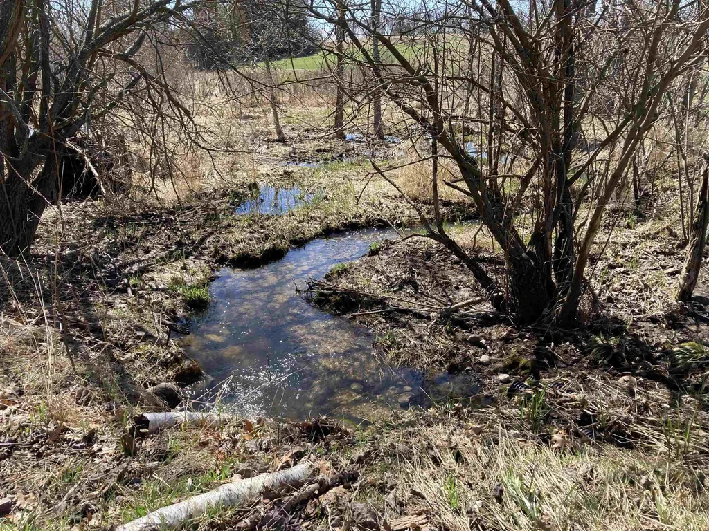 3450 Reasner Road Rose Township MI 48654