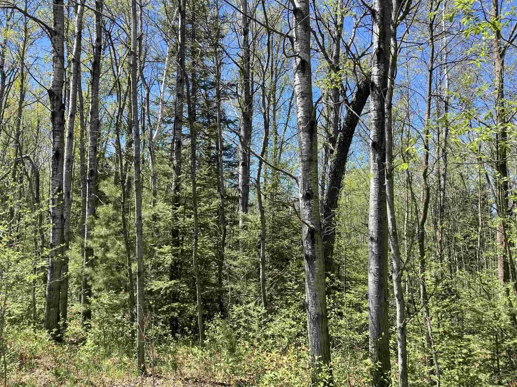 00 W Miller Road Elmer Township MI 49647