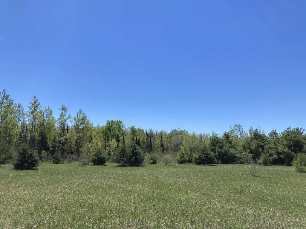 00 W Miller Road Elmer Township MI 49647