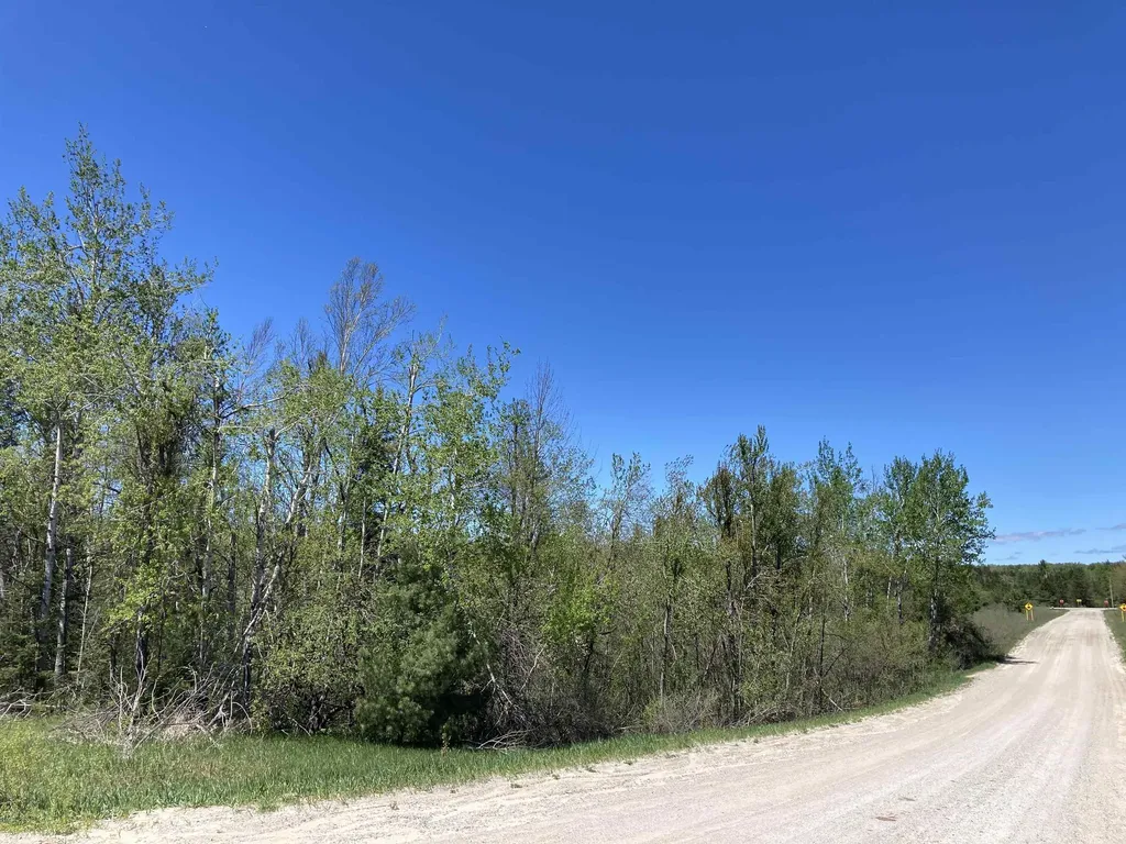 00 W Miller Road Elmer Township MI 49647