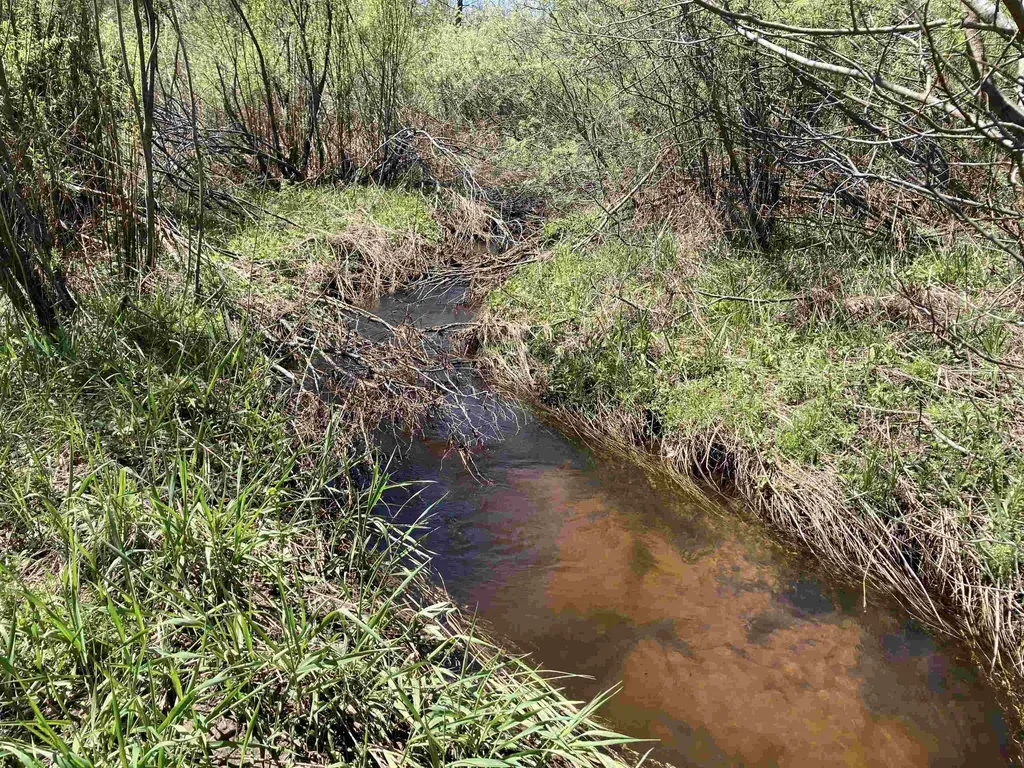 00 W Miller Road Elmer Township MI 49647
