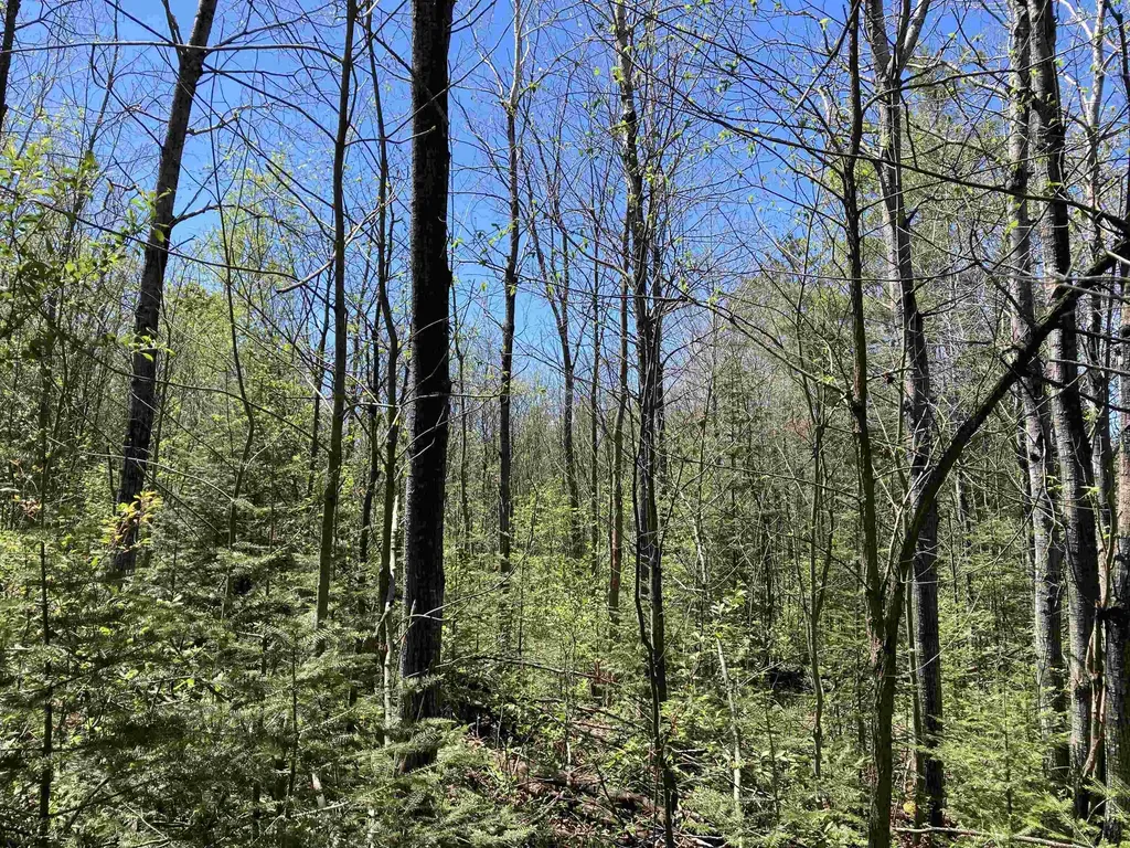 00 W Miller Road Elmer Township MI 49647