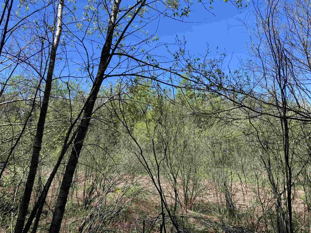 00 W Miller Road Elmer Township MI 49647