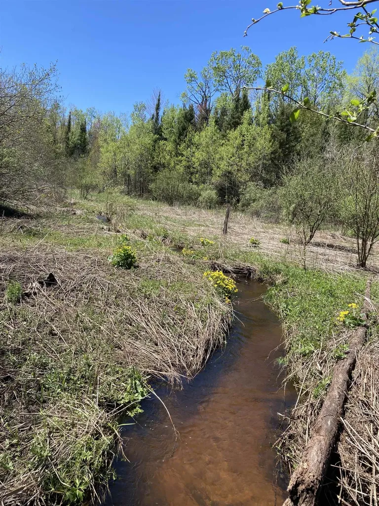 00 W Miller Road Elmer Township MI 49647