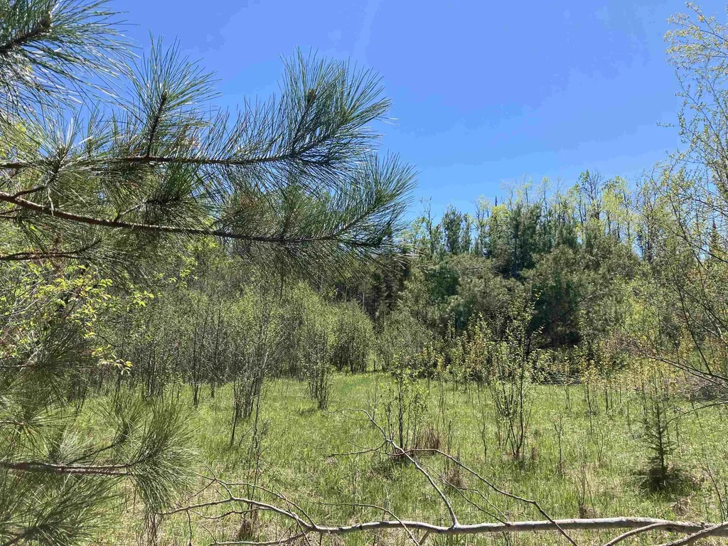 00 W Miller Road Elmer Township MI 49647