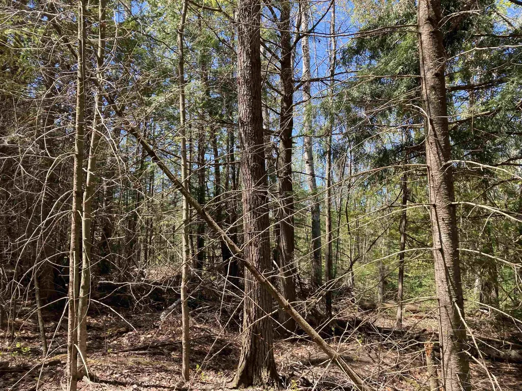 00 W Miller Road Elmer Township MI 49647