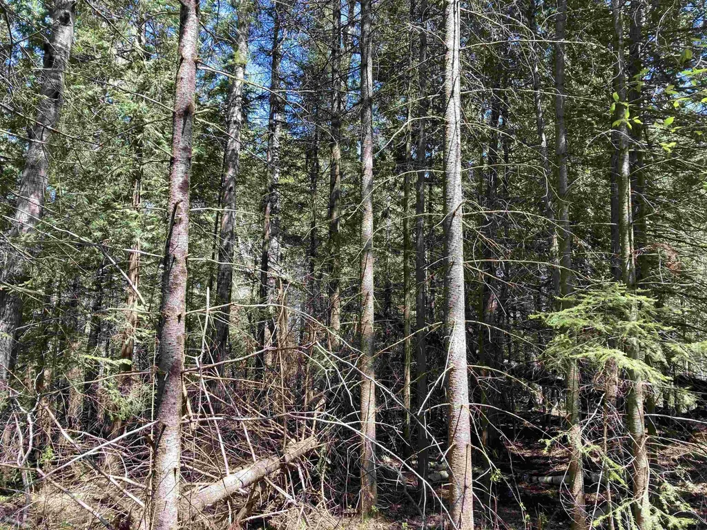 00 W Miller Road Elmer Township MI 49647