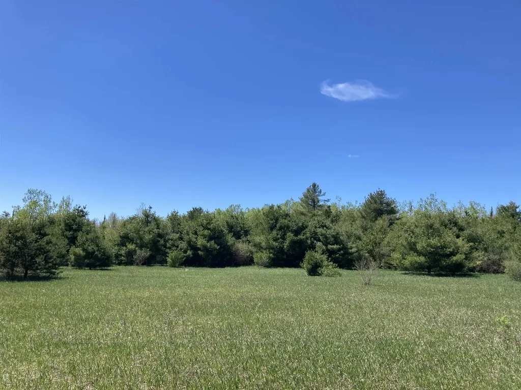 00 W Miller Road Elmer Township MI 49647