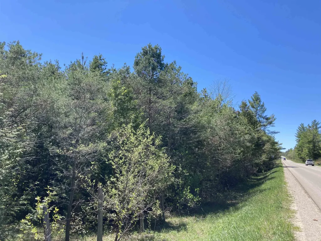 00 W Miller Road Elmer Township MI 49647