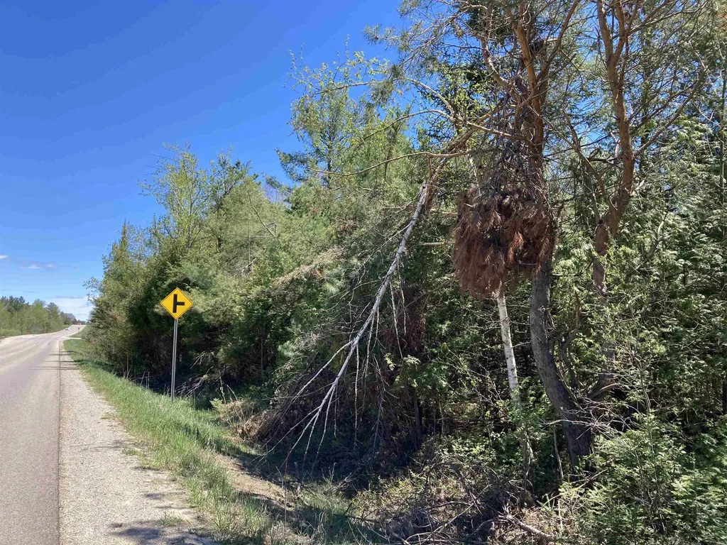 00 W Miller Road Elmer Township MI 49647