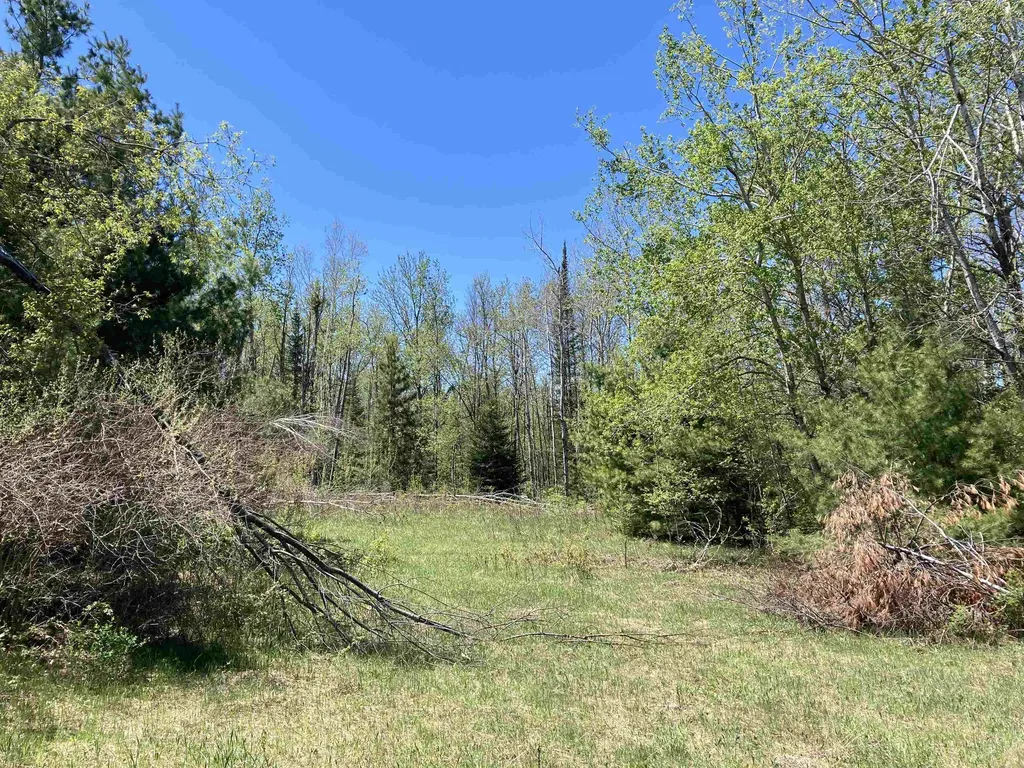 00 W Miller Road Elmer Township MI 49647