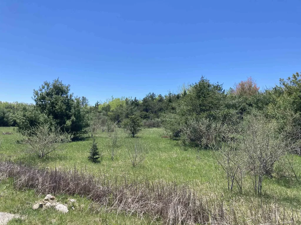 00 W Miller Road Elmer Township MI 49647