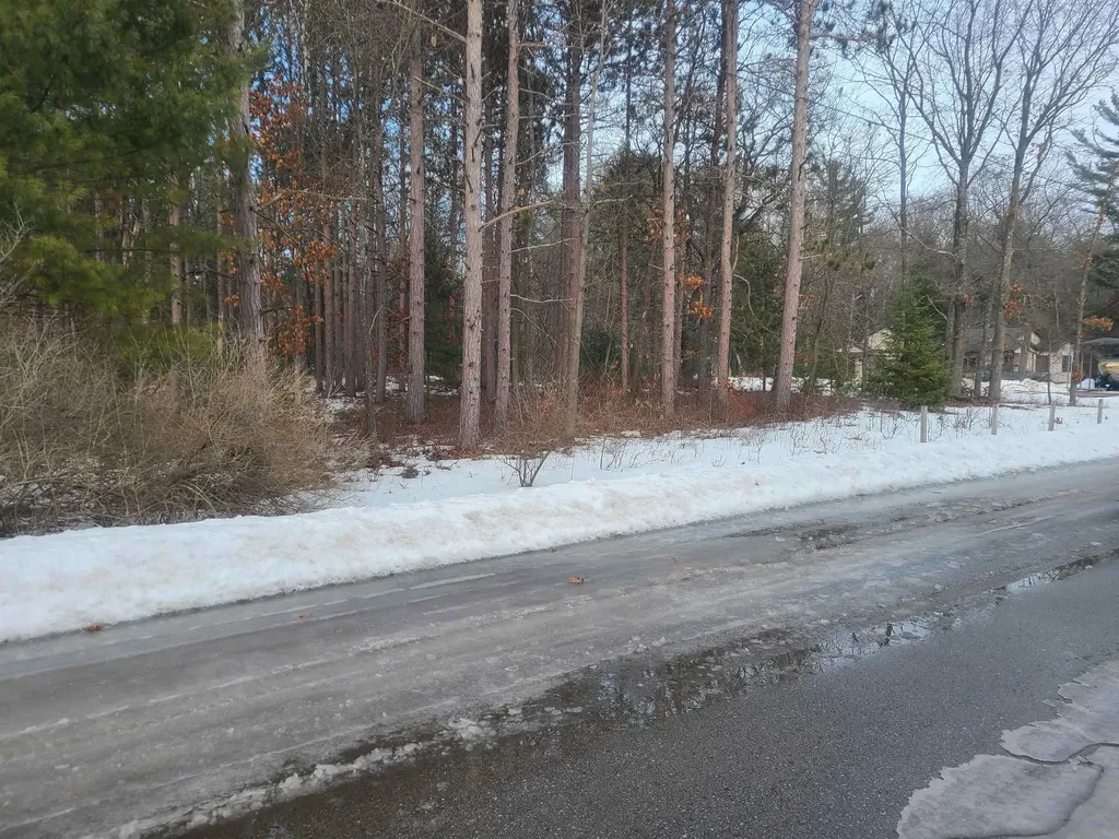 4735 Williams Road, Off Oscoda Charter Township MI 48750