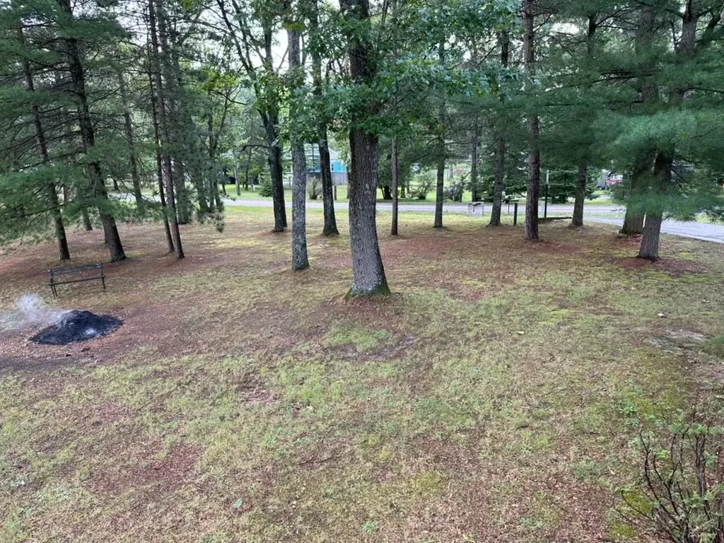 1690 Buena Vista Avenue Grant Township MI 48748