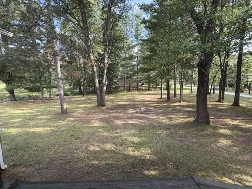 1690 Buena Vista Avenue Grant Township MI 48748