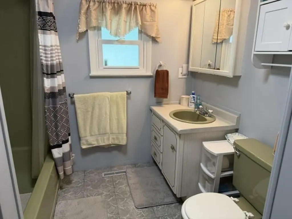 1690 Buena Vista Avenue Grant Township MI 48748