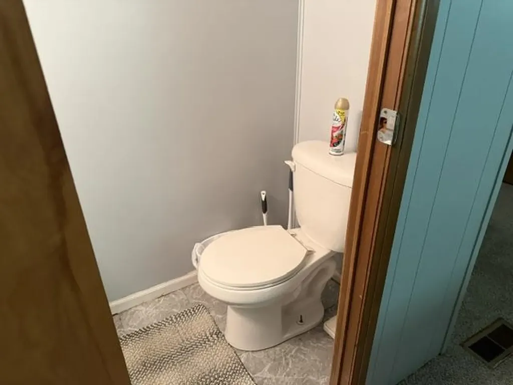 1690 Buena Vista Avenue Grant Township MI 48748