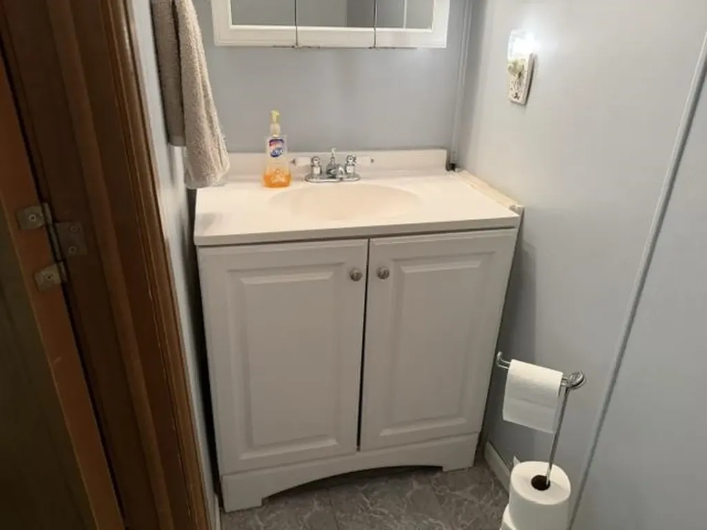 1690 Buena Vista Avenue Grant Township MI 48748