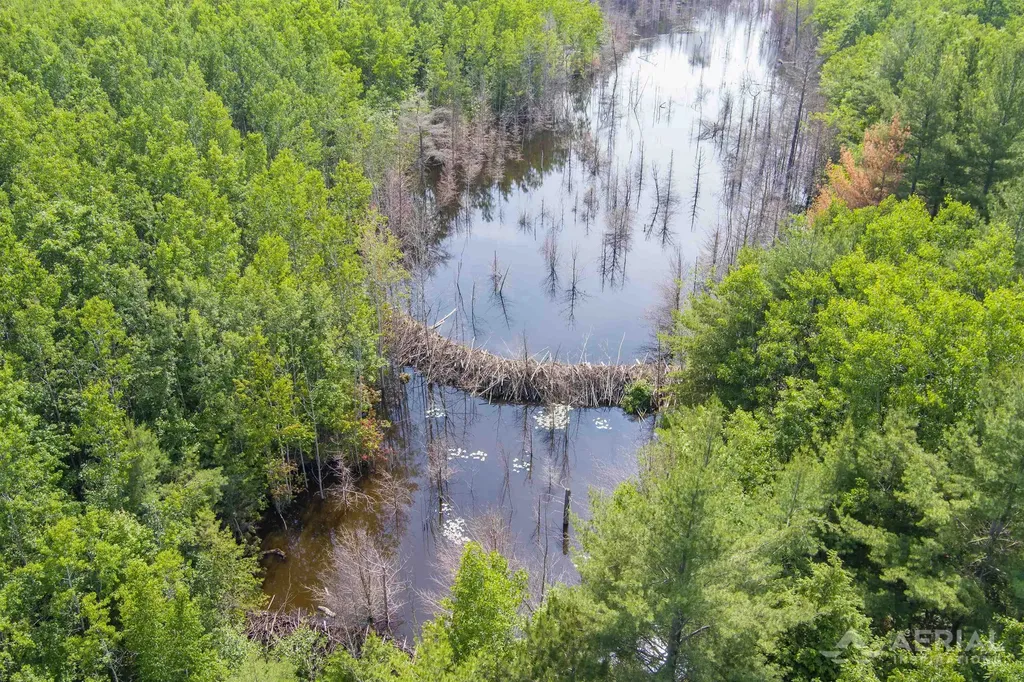 0 Co Road 646 Rogers Township MI 49779