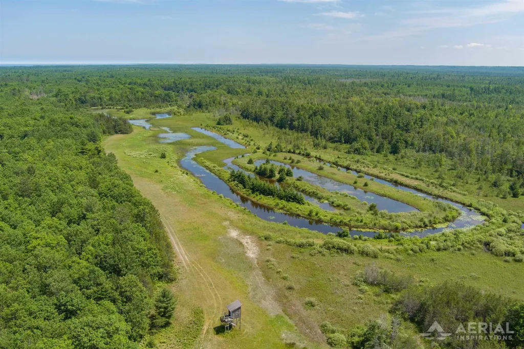 0 Co Road 646 Rogers Township MI 49779