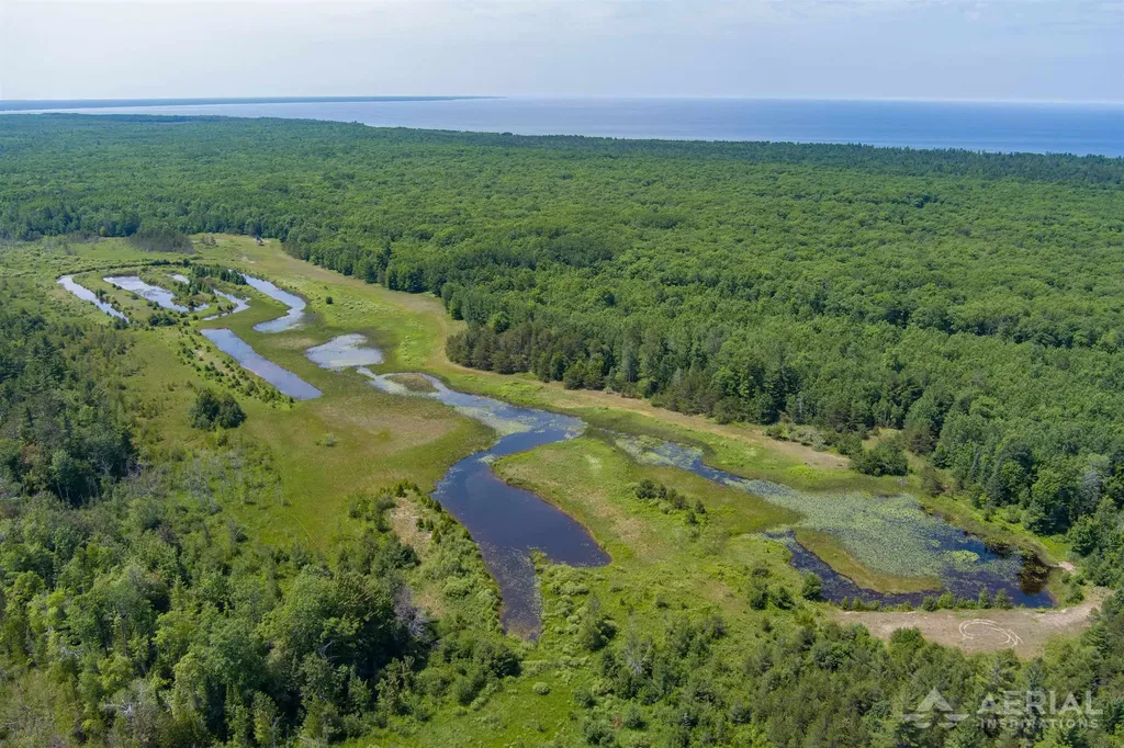 0 Co Road 646 Rogers Township MI 49779