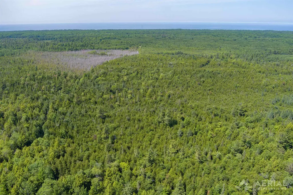 0 Co Road 646 Rogers Township MI 49779