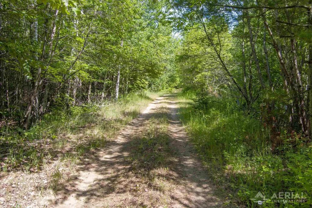 0 Co Road 646 Rogers Township MI 49779