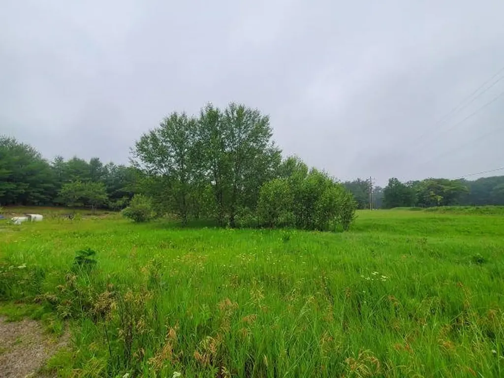 2788 Greenwood Road Mills Township MI 48756