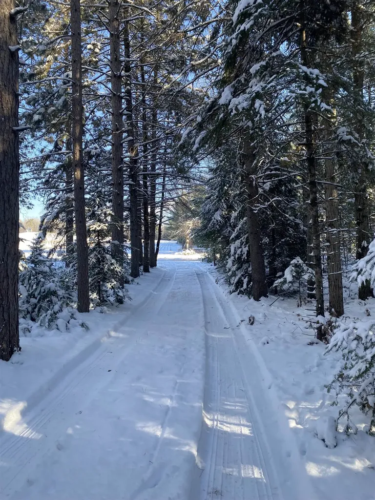 1240 Quigley Road Churchill Township MI 48661