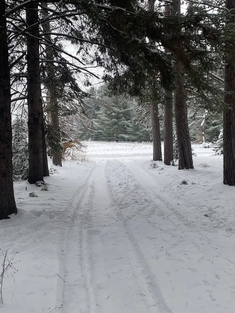 1240 Quigley Road Churchill Township MI 48661