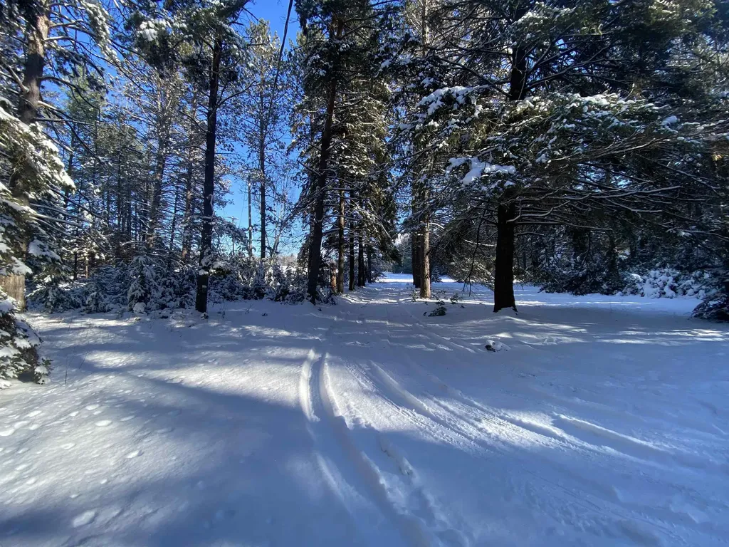 1240 Quigley Road Churchill Township MI 48661