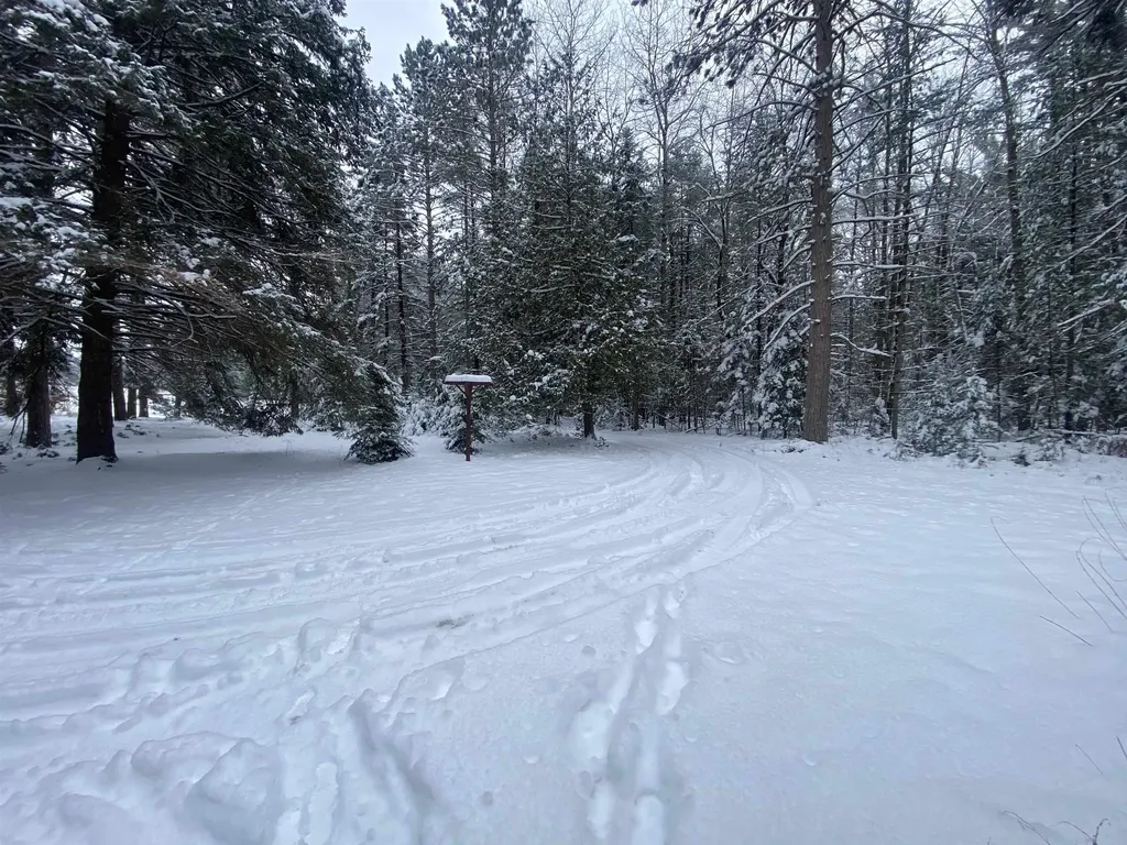 1240 Quigley Road Churchill Township MI 48661