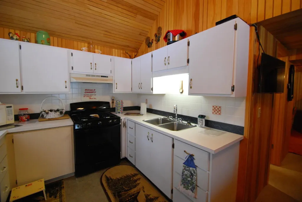 57 E Boehm Road Mills Township MI 48661