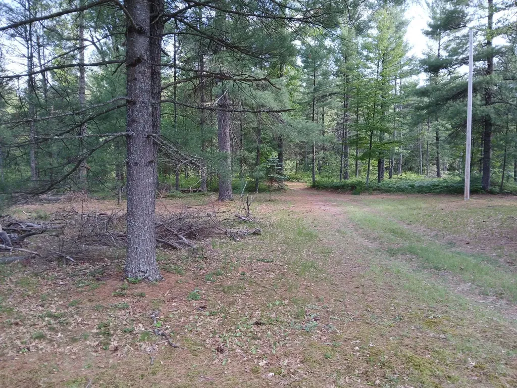 57 E Boehm Road Mills Township MI 48661