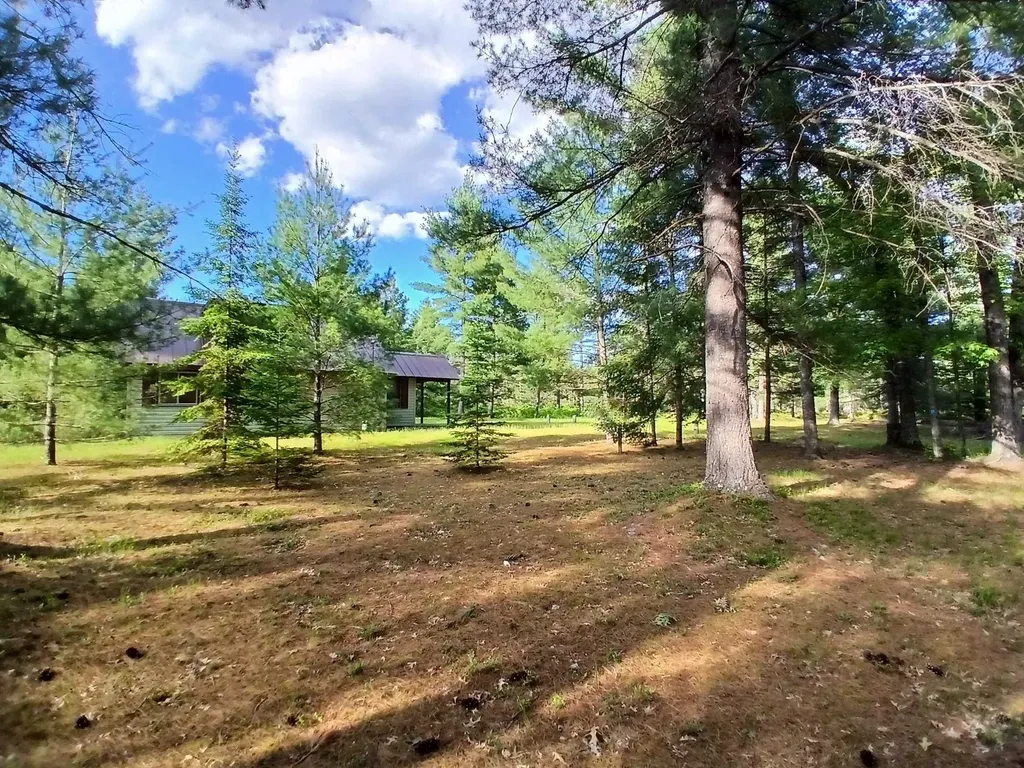 57 E Boehm Road Mills Township MI 48661