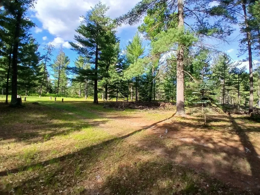 57 E Boehm Road Mills Township MI 48661