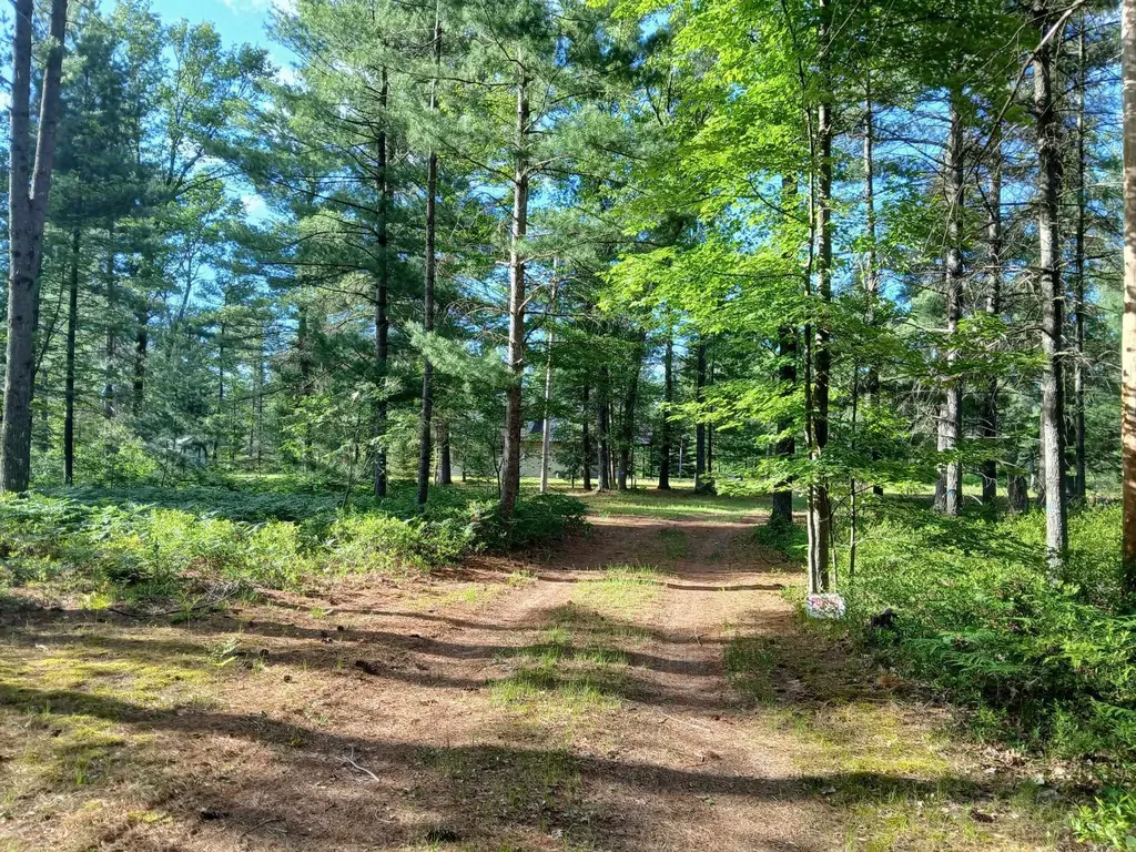 57 E Boehm Road Mills Township MI 48661