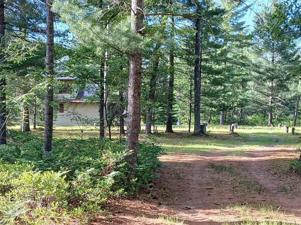 57 E Boehm Road Mills Township MI 48661