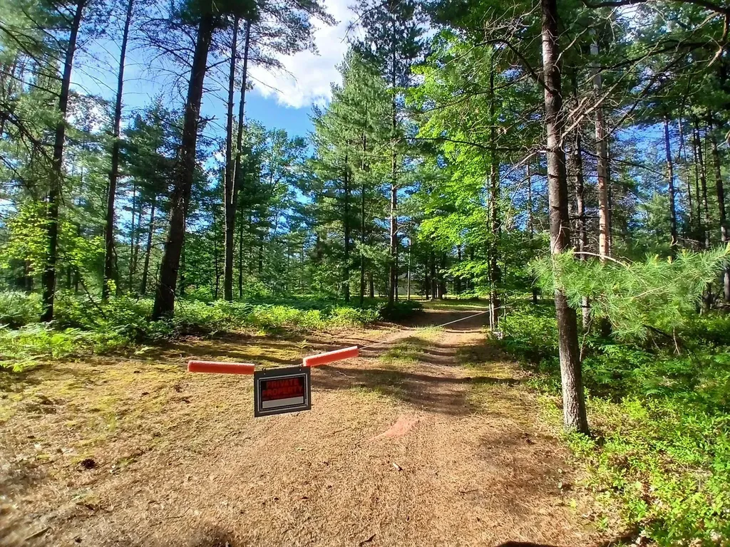 57 E Boehm Road Mills Township MI 48661