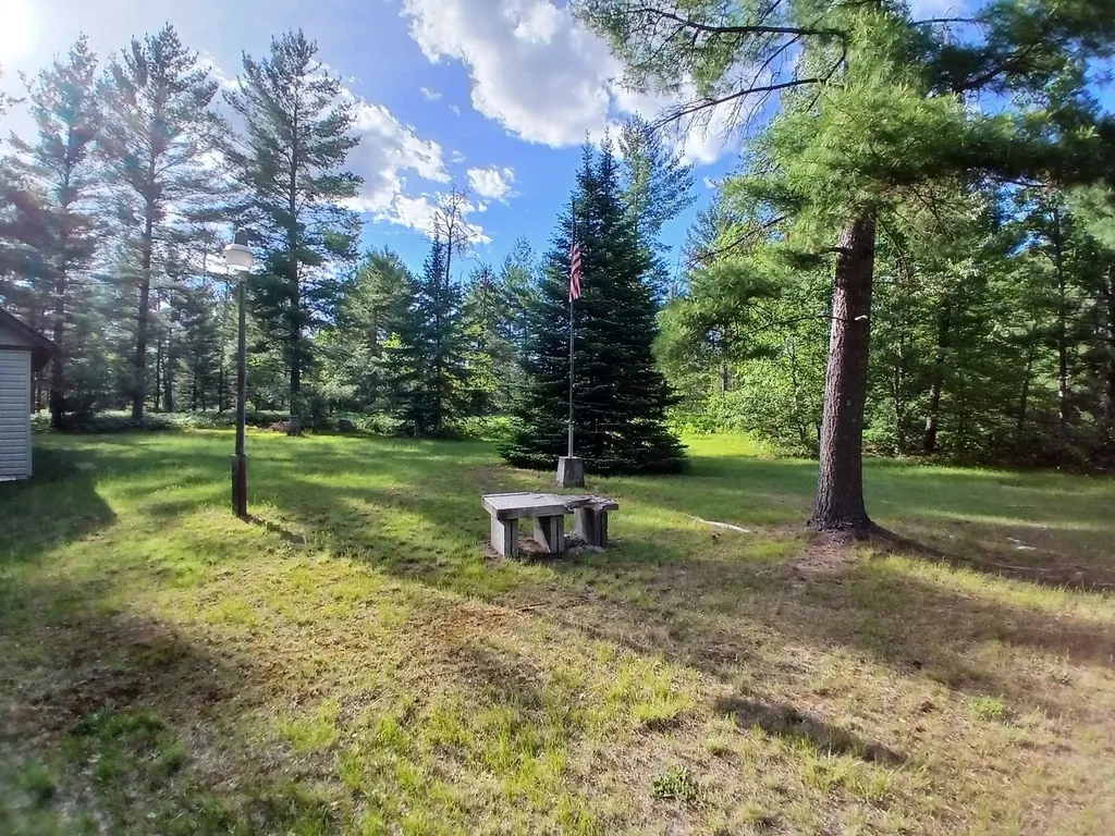 57 E Boehm Road Mills Township MI 48661