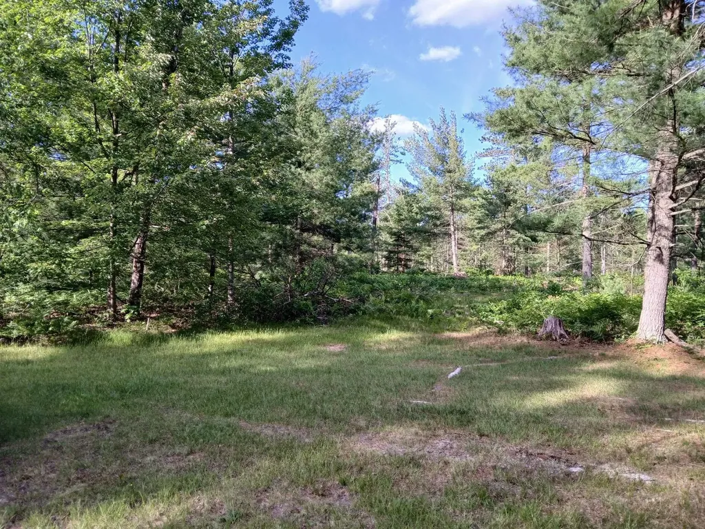 57 E Boehm Road Mills Township MI 48661
